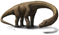 Longneck Solutions